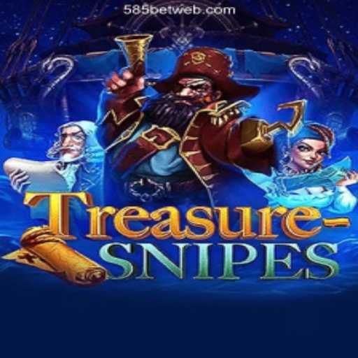 Exploring the World of TreasureSnipes